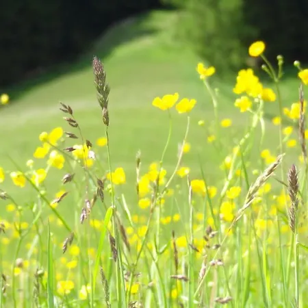 아파트 Schlossar Haus *