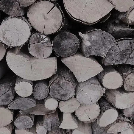 Schlossar Haus * サッパーダ