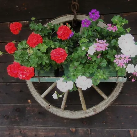 アパート Schlossar Haus