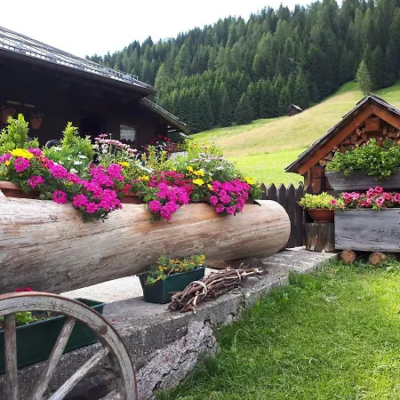 Schlossar Haus 아파트 *